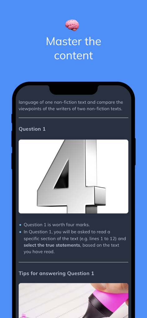 Tela do aplicativo Seneca mostrando detalhes de questões de exames e dicas de estudo em um telefone celular