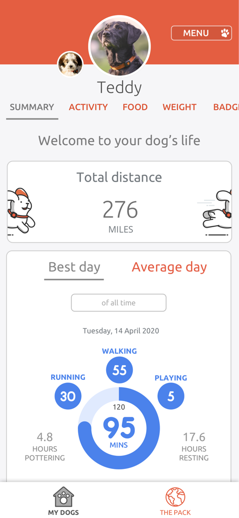 PitPat app dashboard showing a dog activity summary with daily walking running and playing statistics