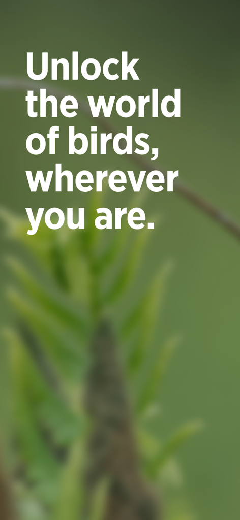 Audubon Bird Guide - Introductory screen of the Audubon Bird Guide app featuring the slogan Unlock the world of birds wherever you are on a blurred nature background