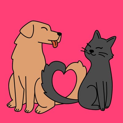 animals_22