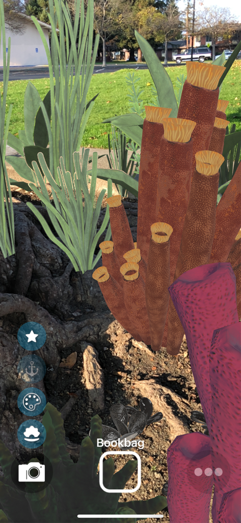 Magic Fish AR - Magic Fish AR app interface showing 3D coral and seaweed decorations placed in a real world park environment