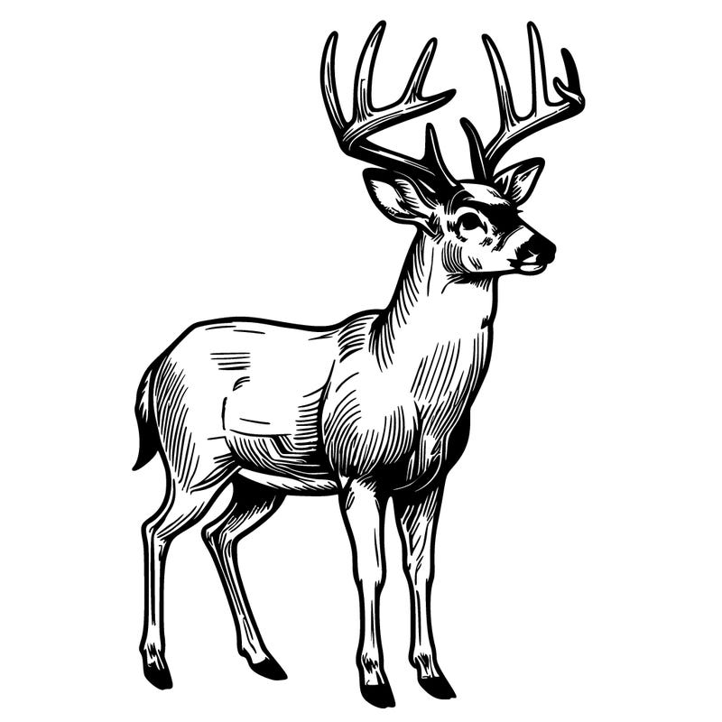 a realistic deer buck