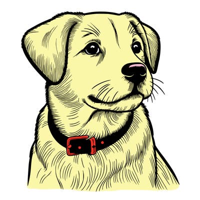 dog realistic