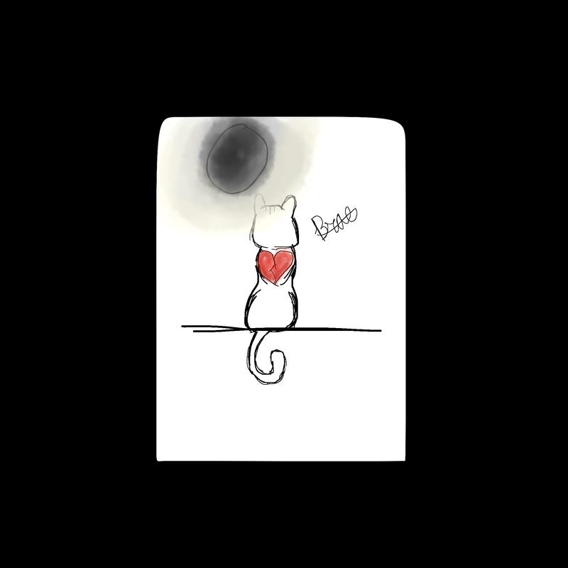 blank paper
