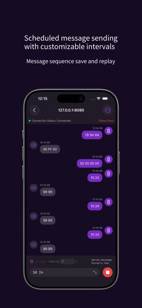 SocketChat - TCP&UDP Debug - Interfaccia dell'app SocketChat che visualizza l'invio di messaggi pianificati e il replay di dati esadecimali per il debug TCP e UDP