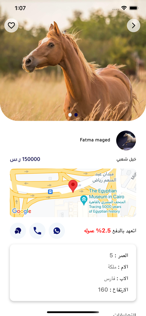 Horse Wildness - جموح الخيل - Mobile app screenshot showing a horse listing with details such as price pedigree information and a location map