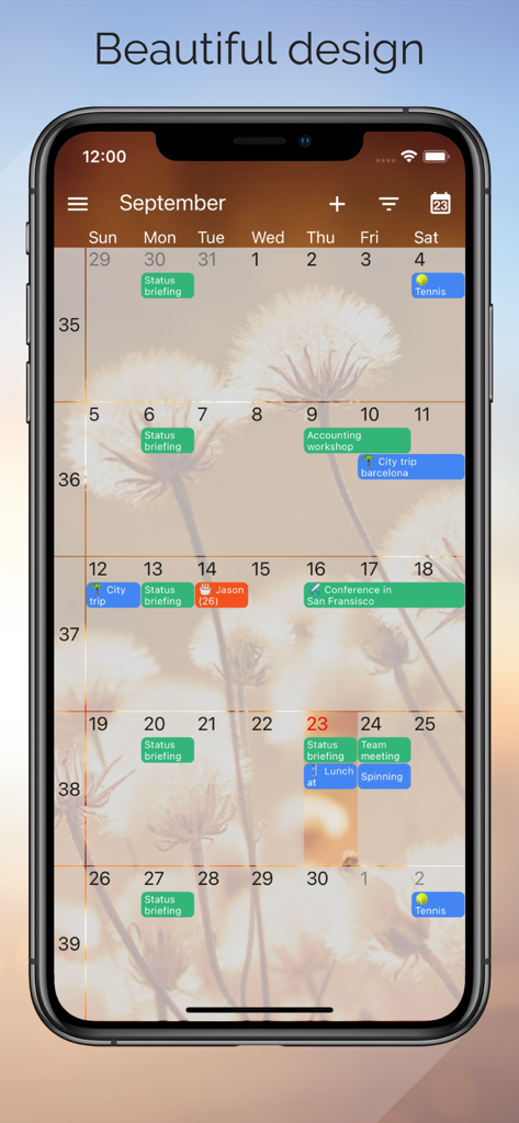 One Calendar - One Calendar App zeigt einen Monatsplan auf einem iPhone