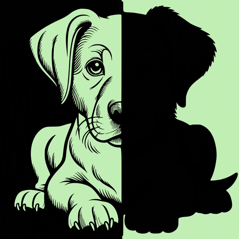 realistic dog split picture
