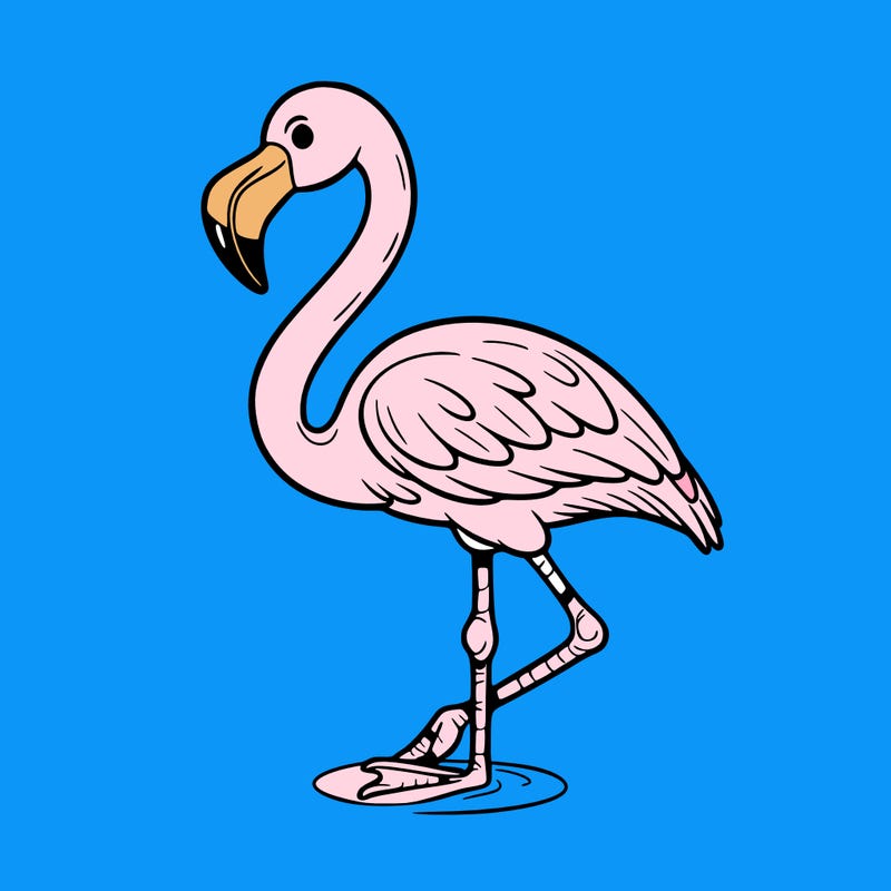 flamingo