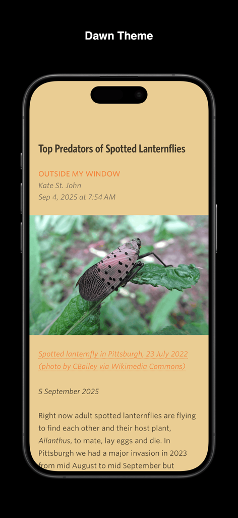 Unread RSS Reader app displaying an article about spotted lanternflies using the Dawn color theme on an iPhone.