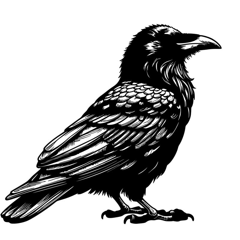realistic raven