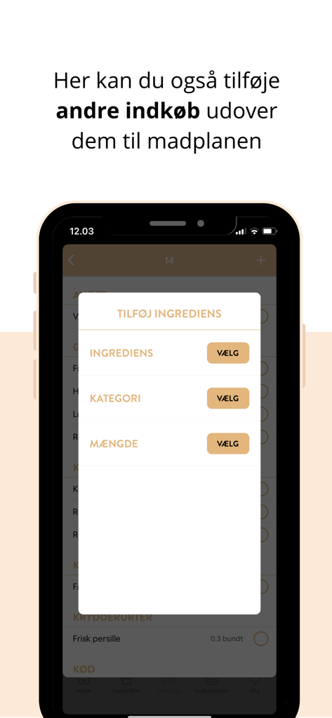 Mummum - Interface of the Mummum app showing a pop up window to add manual items and ingredients to a grocery shopping list.