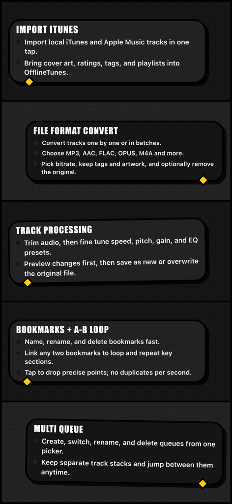 A list of features for the OfflineTunes app including iTunes import, file conversion, track processing, and A-B looping.