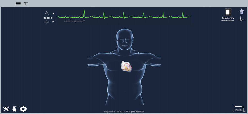 Heart Simulator app interface showing a 3D heart model inside a human torso with a live ECG signal display