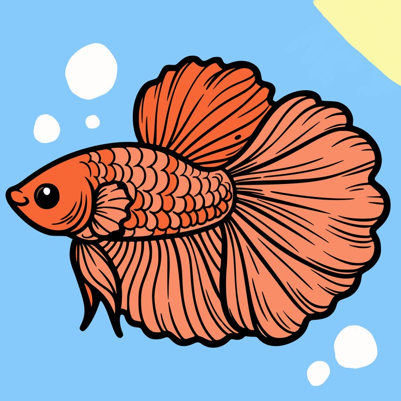 betta