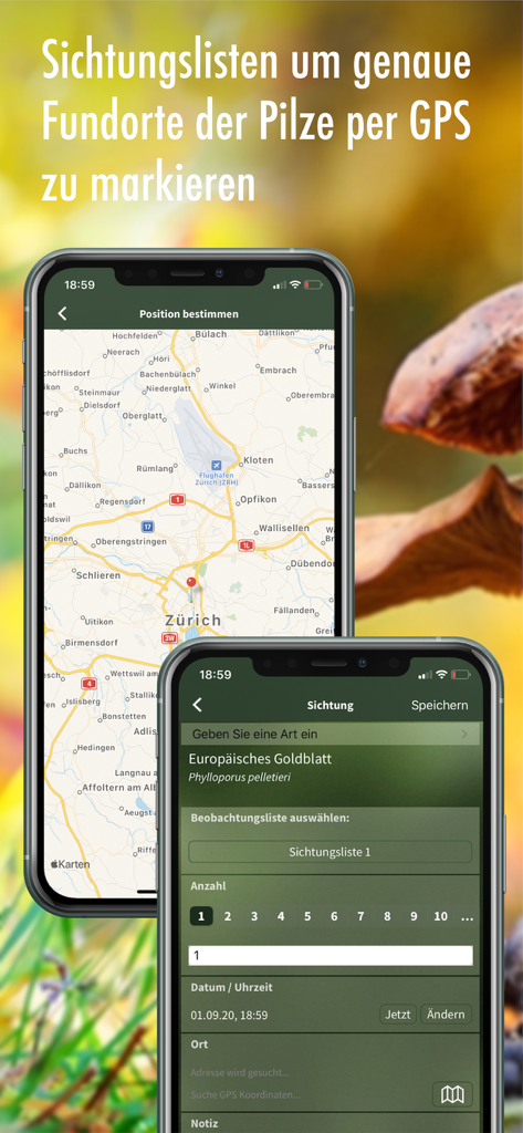 Interface de l'application affichant une carte GPS et un enregistrement des observations pour la cueillette de champignons en Suisse