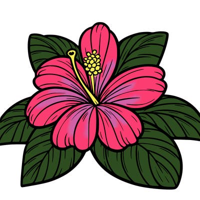 a big open hawaiian flower