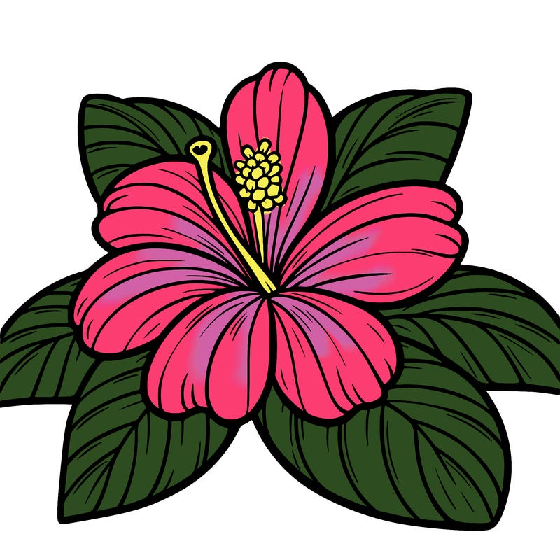 a big open hawaiian flower