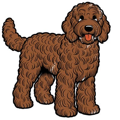 realistic labradoodle dog