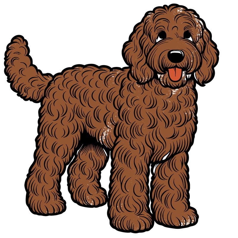 realistic labradoodle dog