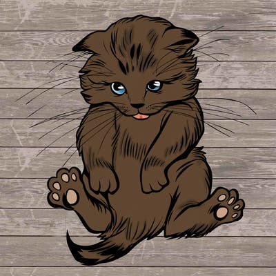 animals_20