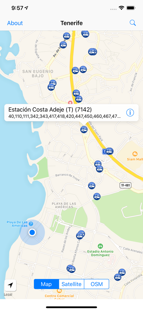 Vue cartographique de l'application de bus de Tenerife montrant l'emplacement des stations et les numéros d'itinéraires à Costa Adeje.