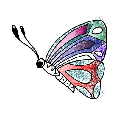 animals_02
