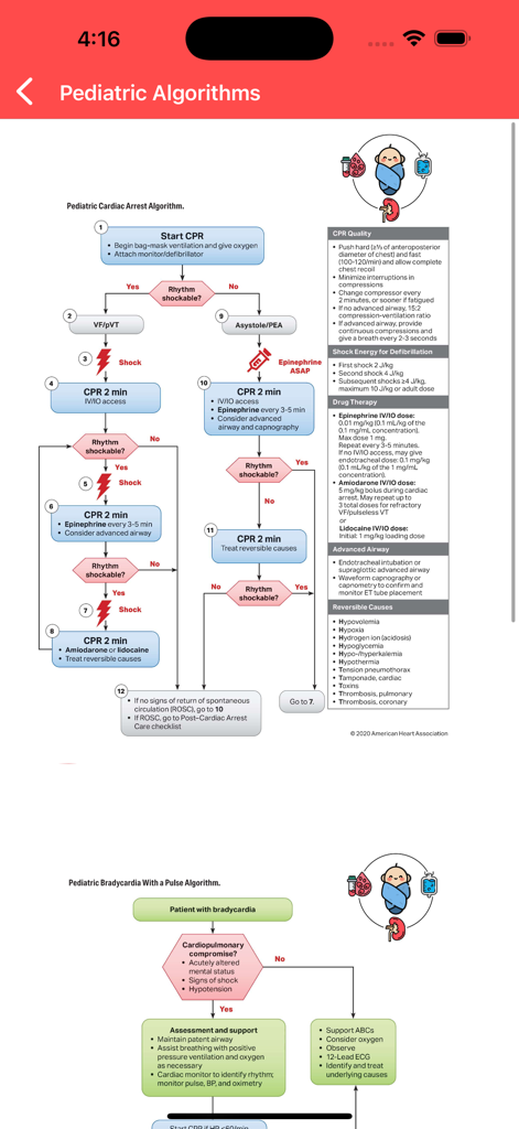 Pediatric cardiac arrest and bradycardia medical algorithms flowchart