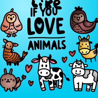 animals with the words like if you love animals