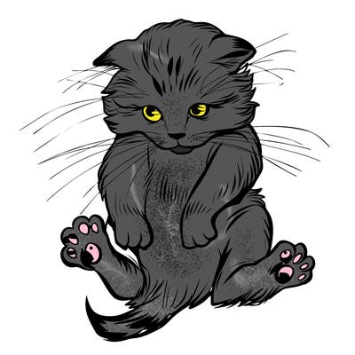 animals_20