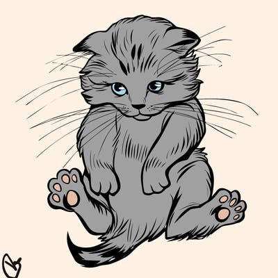 animals_20
