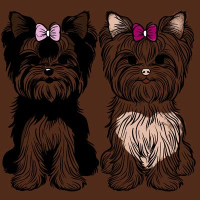 yorkies