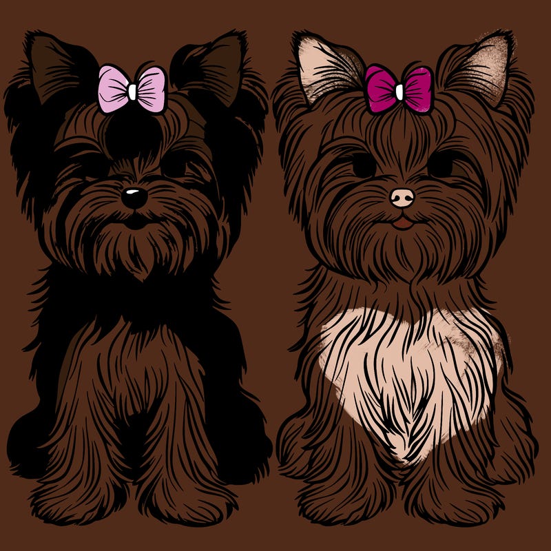 yorkies