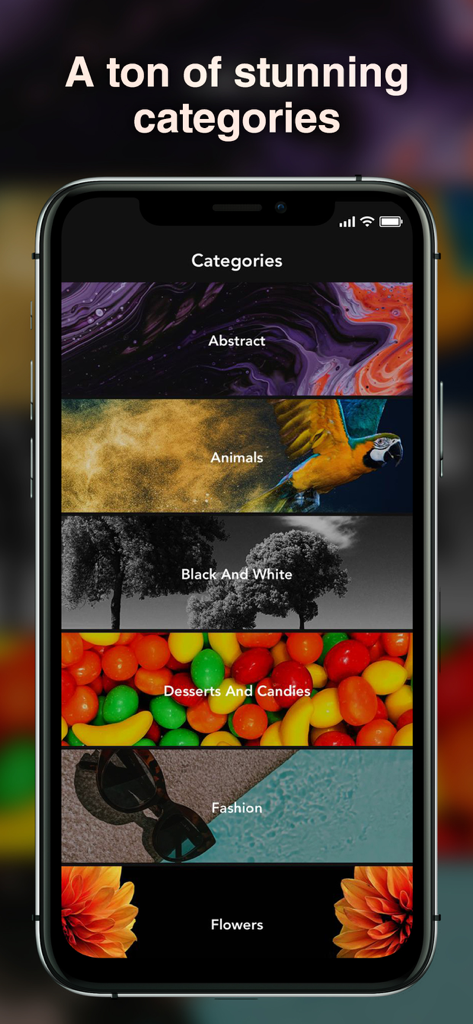 Best Wallpapers 4K - Schermata dell'app Migliori Sfondi 4K che mostra diverse categorie di sfondi come astratto e animali