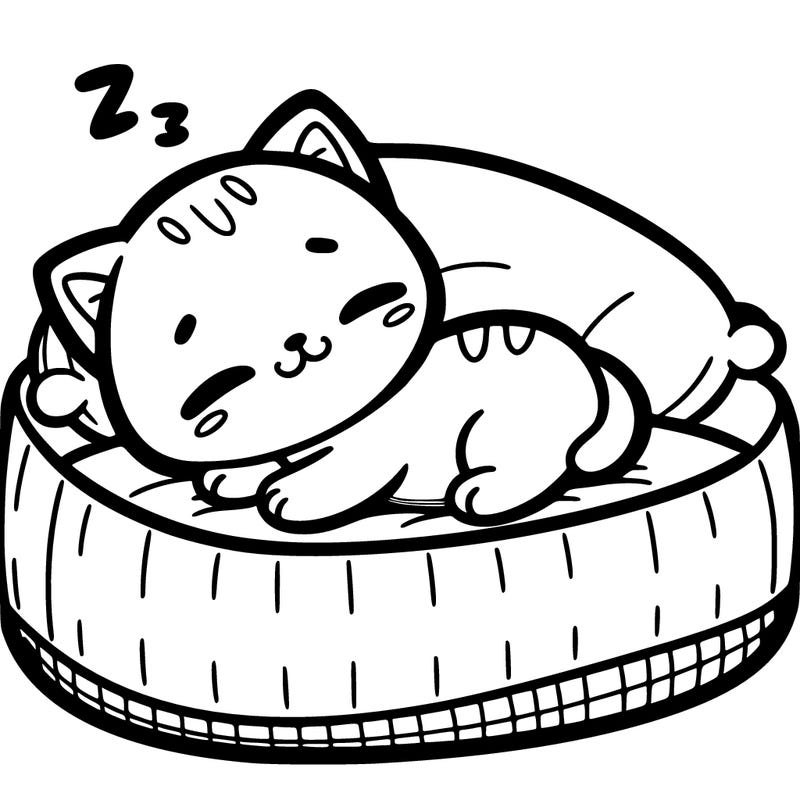 cute kitten sleeping on a cat bed