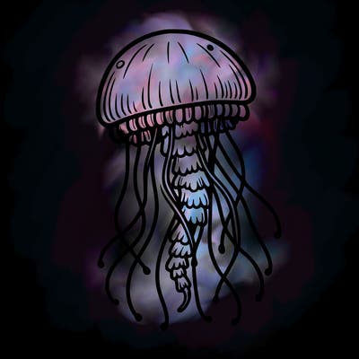 jellyfish