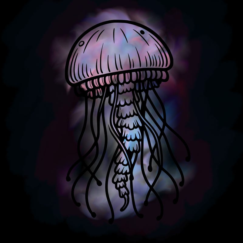 jellyfish