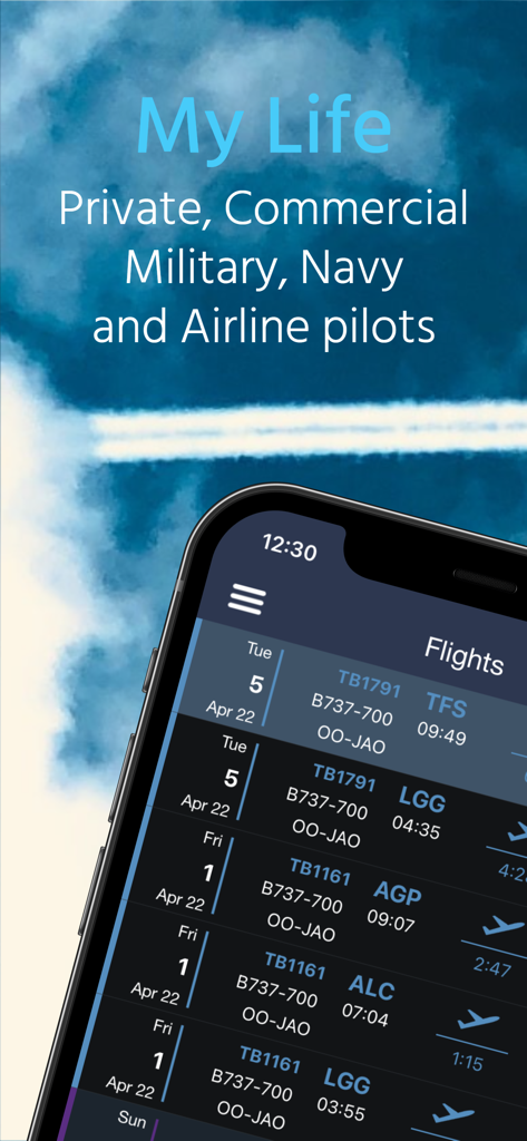 Digital flight logbook interface on a smartphone for professional pilots