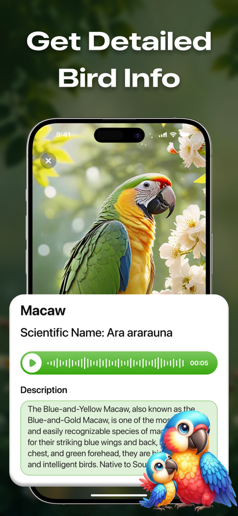 A mobile screen showing detailed information for a Macaw including scientific name and bird call audio