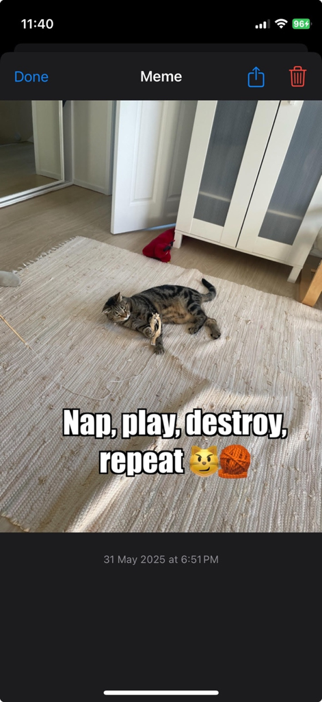 YoMeme: Meme Maker & Editor - 「Nap play destroy repeat」というキャプションが付いた猫の写真ミーム
