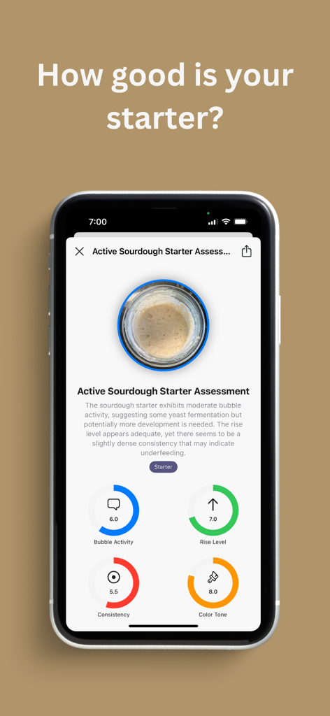 Interface de l'application Loaflo montrant une évaluation IA d'un levain avec des métriques pour l'activité des bulles et le niveau de levée