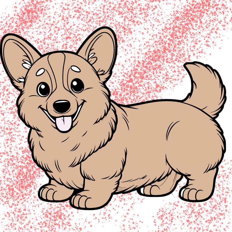 corgi