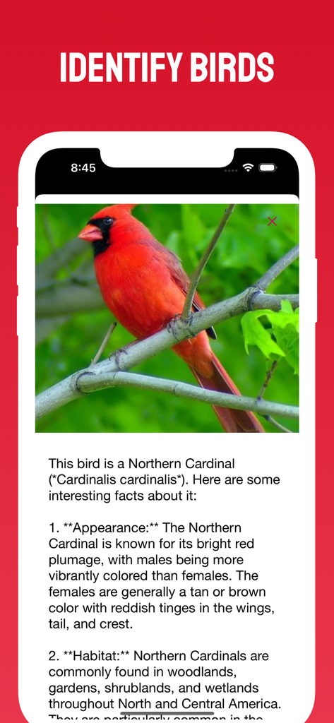 Bird Scanner - Education App | MWM