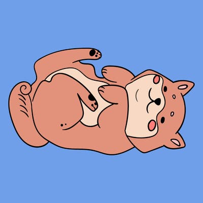 animals_30