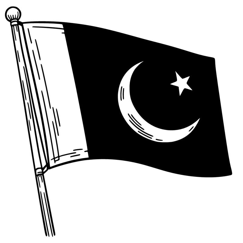 pakistan flag