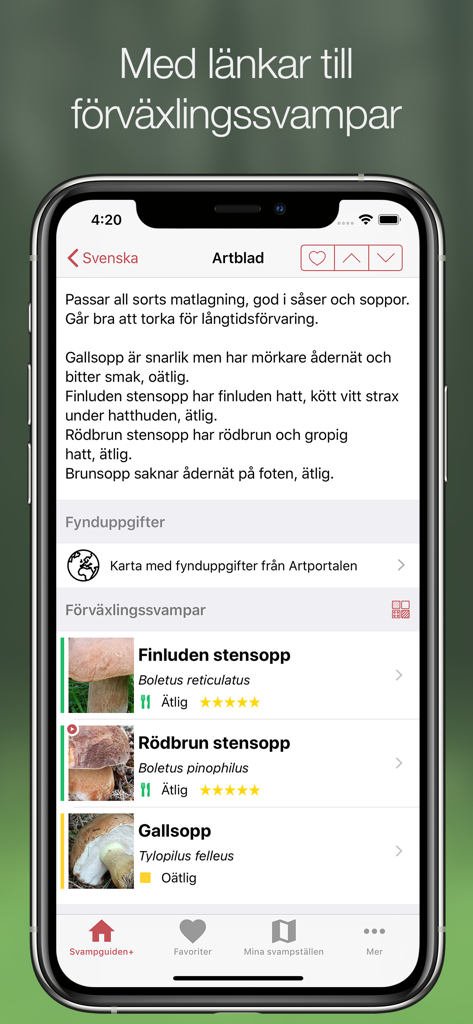 Svampguiden+ - Mushroom species comparison screen in Svampguiden plus app showing edible and inedible lookalikes