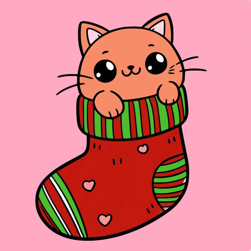 cute cat in a sock