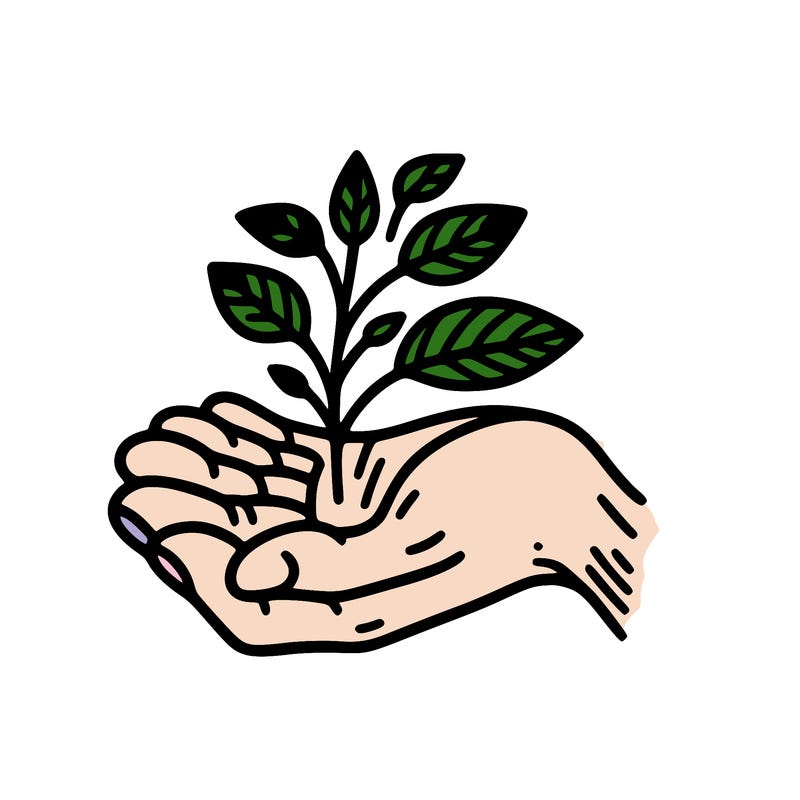 hand with plant