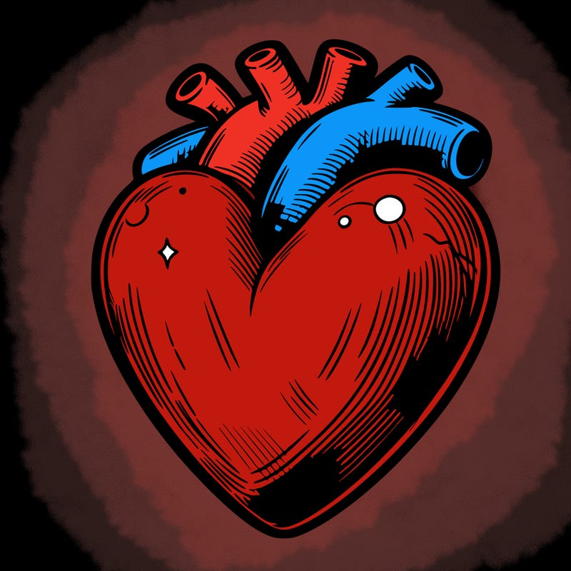 realistic heart