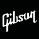 Gibson: Learn to Play Guitar